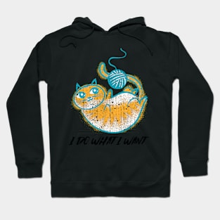 I do what I want Funny knitting cat Hoodie